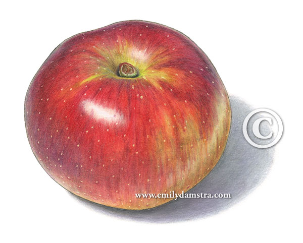 baldwin apple