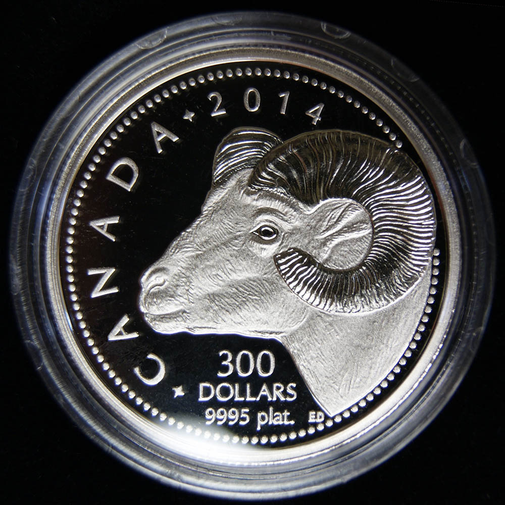 1 oz Fine Platinum Coin - Rocky Mountain Bighorn Sheep - designed by Emily S. Damstra