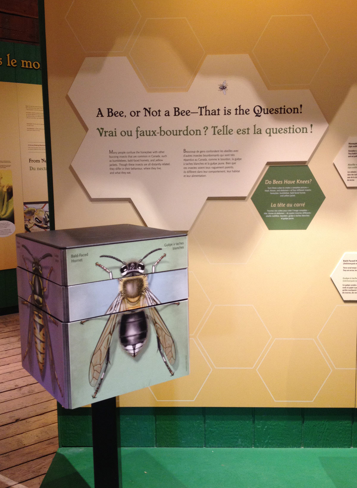 Bee exhibit at the Canadian Museum of Agriculture