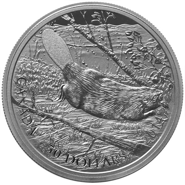 5 oz. Fine Silver Coin - Swimming Beaver - designed by Emily S. Damstra