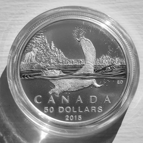 $50 for $50 fine silver coin - Beaver (2015) - designed by Emily S. Damstra